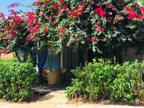 Taman di luar Pousada Portal dos Golfinhos