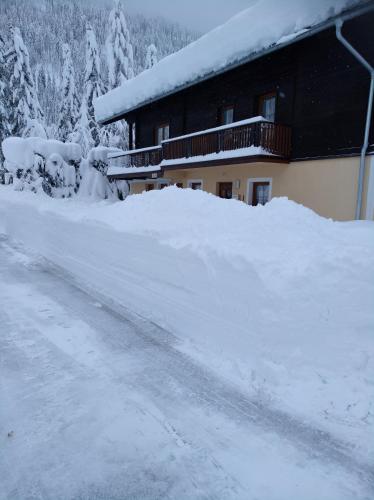 Appartment Sandra Obkircher