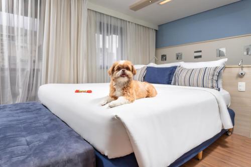サンパウロにあるメルキュール サンパウロ パンプローナの犬が寝室のベッドに座っている