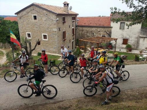 a group of people riding bikes down a road at al Merlo Olivo, rural istrian house in Buje