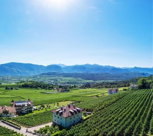 an aerial view of a vineyard and a house in a field at Steinegger Eppan in Appiano sulla Strada del Vino