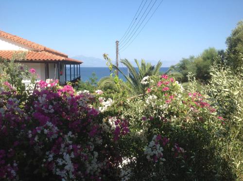 a garden with flowers in front of a house at Villa Sofia in Chrani