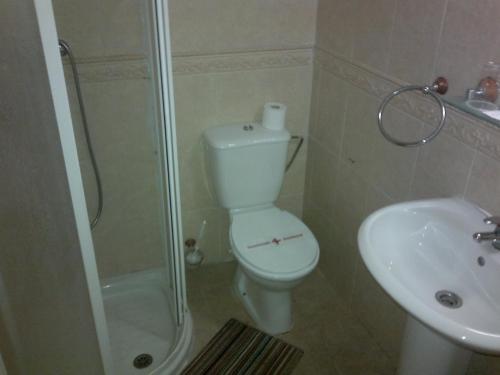 La salle de bains est pourvue de toilettes, d'une douche et d'un lavabo. dans l'établissement Hostal El Patio, à Alhaurín de la Torre