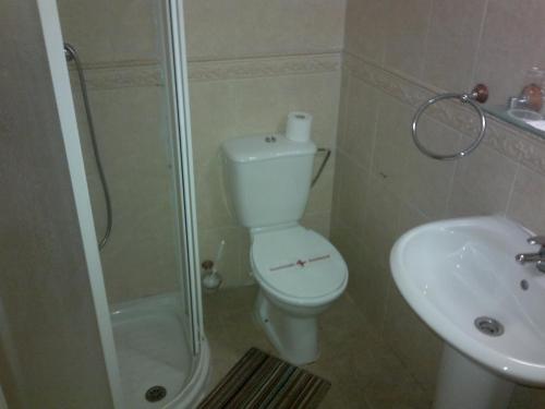a bathroom with a toilet and a shower and a sink at Hostal El Patio in Alhaurín de la Torre
