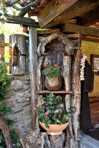 a flower pot sitting on a shelf in a tree stump at Kivotos Epavlis in Prespes