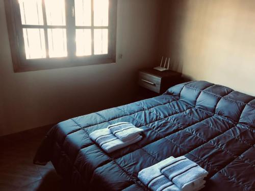 ポトレリージョスにあるCabañas Villa Aliciaのベッドルーム1室(ブルーベッド1台、タオル付)