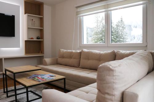 a living room with a couch and a tv at Apartmani VIDIK - Groodvy House in Jahorina