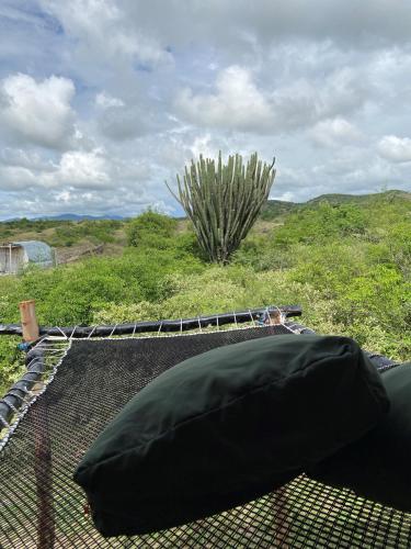 a black pillow sitting on top of a roof at biohotel tatacoa Qji in Villavieja