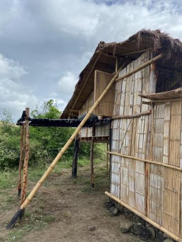 a thatch roofed hut with a thatched roof at biohotel tatacoa Qji in Villavieja