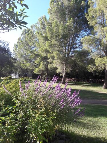 El Campo Departamentos – Photos 4