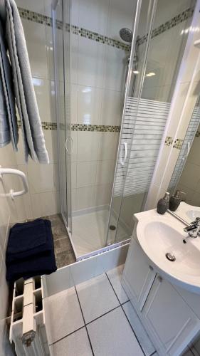 une salle de bain avec douche et lavabo dans l'établissement Le Studio Alpin - Hyper centre Saint Gervais, à Saint-Gervais-les-Bains