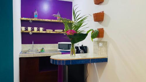 a kitchen with a counter with a vase of flowers at Nomada's Digital in Manuel Antonio