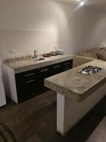a kitchen with a sink and a counter top at Exelentes departamentos y lofts en el centro de la ciudad de Teziutlán in Teziutlán