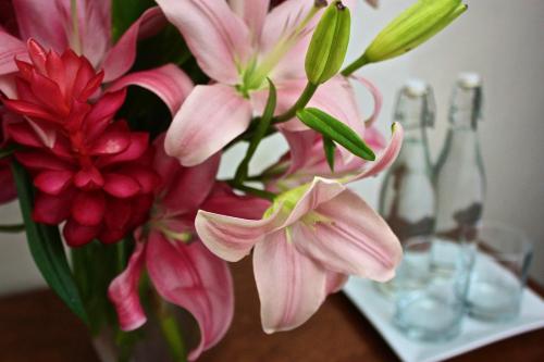 a vase filled with pink flowers on a table at The Diplomat Boutique Hotel in Mérida