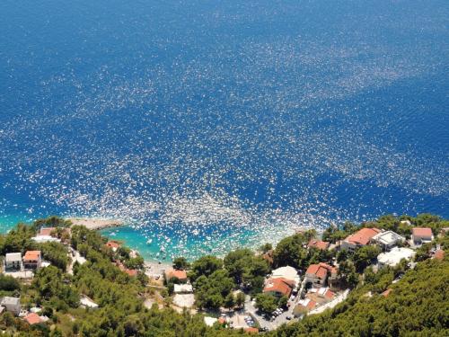 a large group of birds flying over the ocean at Rooms Jakirusa in Brela