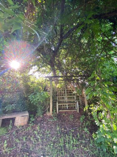 a tree house with a bench under a tree at Under The Oak in Underberg