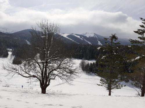 two trees in the snow with mountains in the background at Studio sur les pistes in Villard-de-Lans