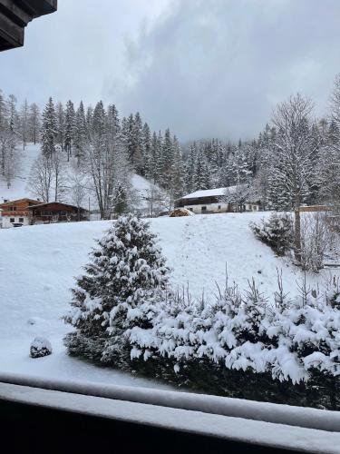 a snow covered garden with a tree in a yard at W6 Haus Ganghofer in Leutasch