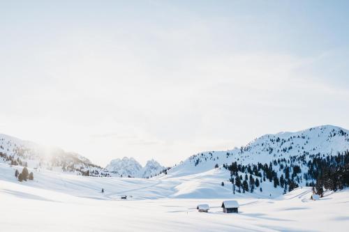 a snow covered slope with trees and mountains in the background at Hotel Rudolf in Brunico