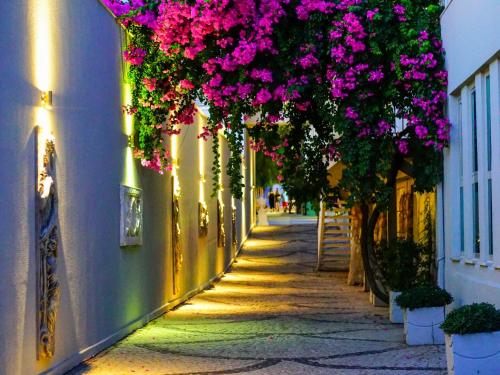 a street with pink flowers hanging from a building at Blue Dreams Resort Bodrum - Aquapark & Ultra All Inclusive in Torba