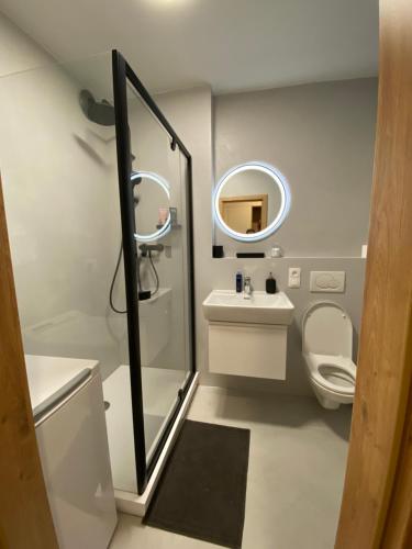 a bathroom with a sink and a toilet and a mirror at Luxusní Apartmán u sjezdovek s garáží in Harrachov