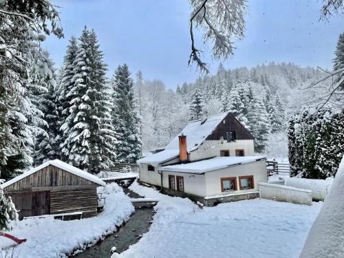 Paprsek - Chalupa V Medvědí rokli - Bärengraben