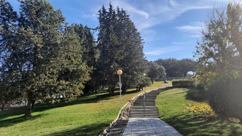 a set of stairs in a park with trees at Apartamentos Baños de Ledesma in Salamanca