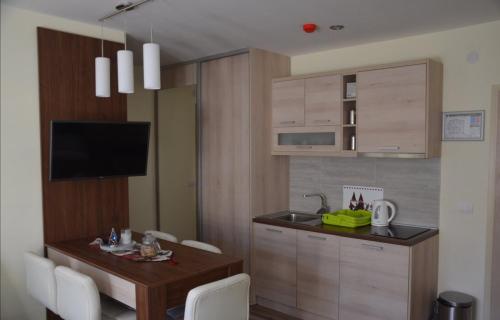 Η κουζίνα ή μικρή κουζίνα στο Apartman DADA, KOPAONIK Centar