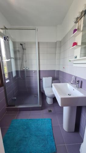 a bathroom with a sink and a shower and a toilet at Vila Laura 1 in Sovata