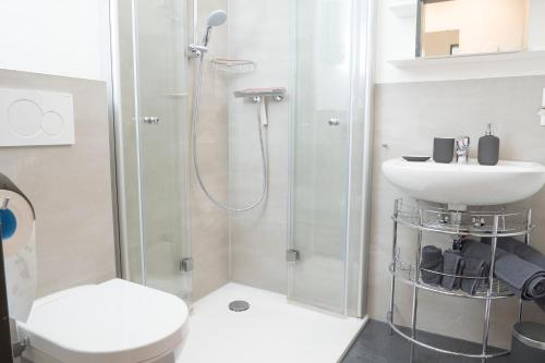 a bathroom with a shower and a toilet and a sink at Ferienapartment Landwohnung Theresa in Winterberg