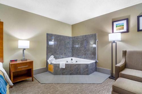 Gallery image of Comfort Inn Ottawa in Ottawa