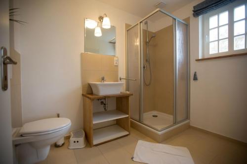 a bathroom with a shower and a toilet and a sink at Seeschwalbenhäuschen - a61543 in Altenhof