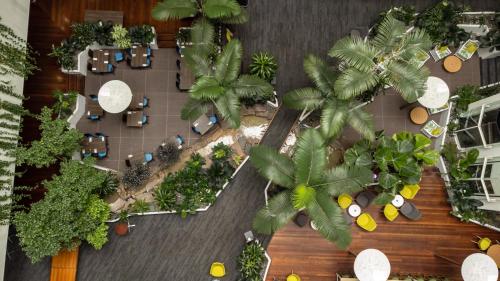 an overhead view of a courtyard with palm trees at Novotel Darwin CBD in Darwin
