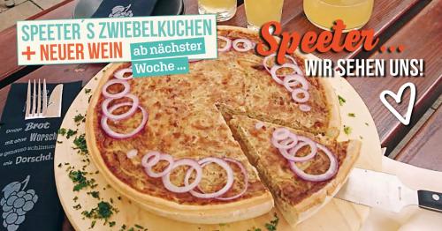 a poster of a pizza with onions on it at Hotel Speeter in Weisenheim am Berg
