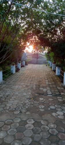 a cobblestone road with a fence and trees at Tranquility homestay in Shivpurī