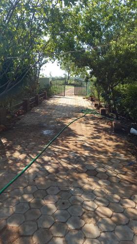 a garden with a green hose on a walkway at Tranquility homestay in Shivpurī