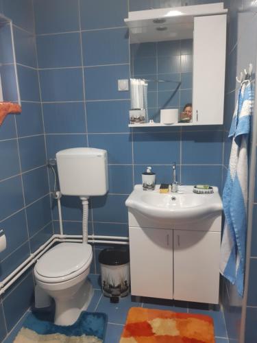 a blue bathroom with a toilet and a sink at Seosko turističko domaćinstvo Stojković in Aleksinac