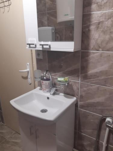 a bathroom with a white sink and a mirror at Seosko turističko domaćinstvo Stojković in Aleksinac