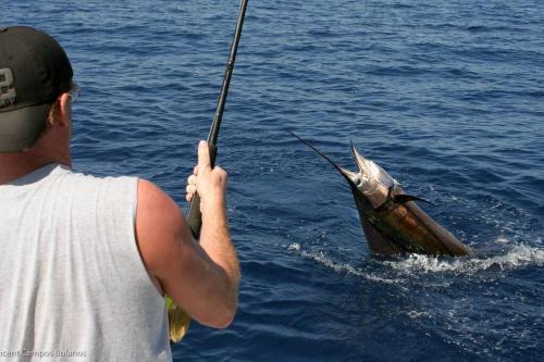a man is holding a fish in the water at Tapiru's House - Bahia Drake in Drake