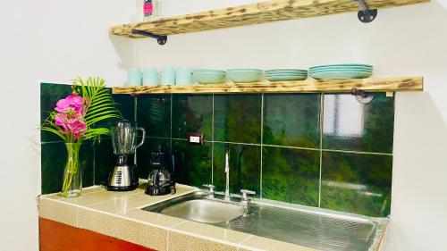 a kitchen counter with a sink and plates on a shelf at Nomada's Digital in Manuel Antonio