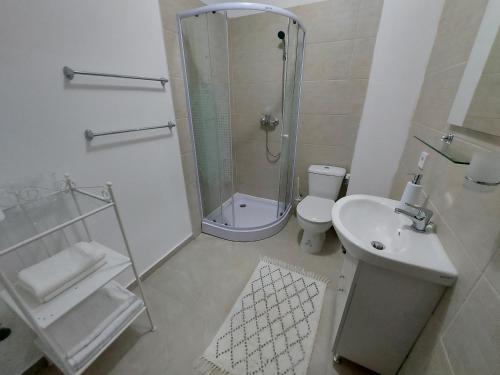 La salle de bains est pourvue d'une douche, de toilettes et d'un lavabo. dans l'établissement Anca's Style, à Codlea