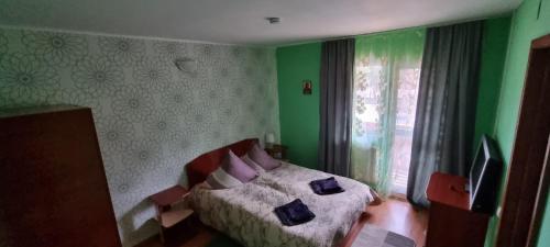 Ένα ή περισσότερα κρεβάτια σε δωμάτιο στο Villa Ileana