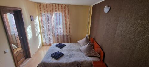1 dormitorio con 1 cama con 2 almohadas en Villa Ileana, en Ceahlău