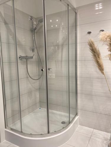 a shower stall with a glass door in a bathroom at Ultra Apartments Kamienica Nova in Szczecin