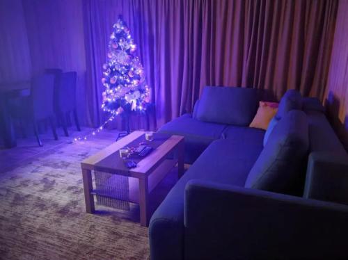 a living room with a blue couch and a christmas tree at kucica na vodi drinski snovi in Mali Zvornik