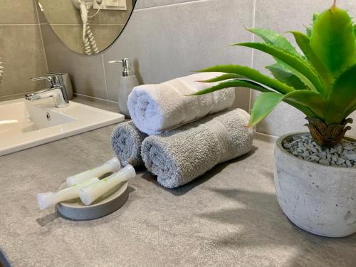 un bagno con asciugamani e una pianta su un bancone di GOODMOOD Apartment a Debrecen