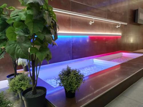 Fotografie z fotogalerie ubytování Wellness Hotel Anna Nejdek v destinaci Nejdek
