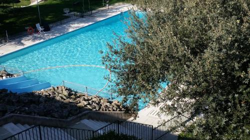 an overhead view of a blue swimming pool with trees at Apartamentos Baños de Ledesma in Salamanca