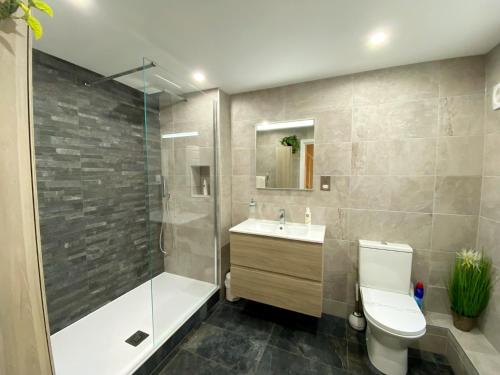 een badkamer met een toilet, een wastafel en een douche bij Sovereign House Luxury Apartment in Torquay
