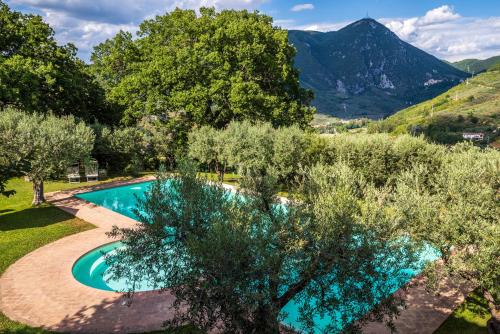 an overhead view of a swimming pool with trees and mountains at Agriturismo Le Vigne in Foligno